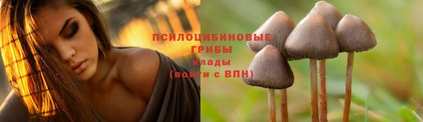 MDMA Заволжск