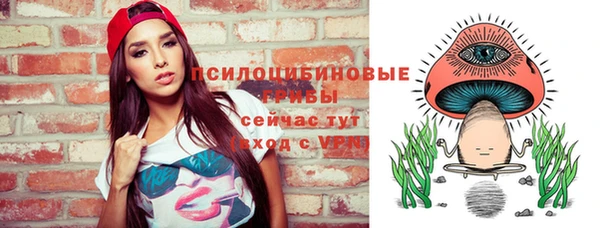 гидропоника Елизово