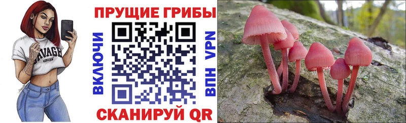 Галлюциногенные грибы Magic Shrooms  наркошоп  Луга 