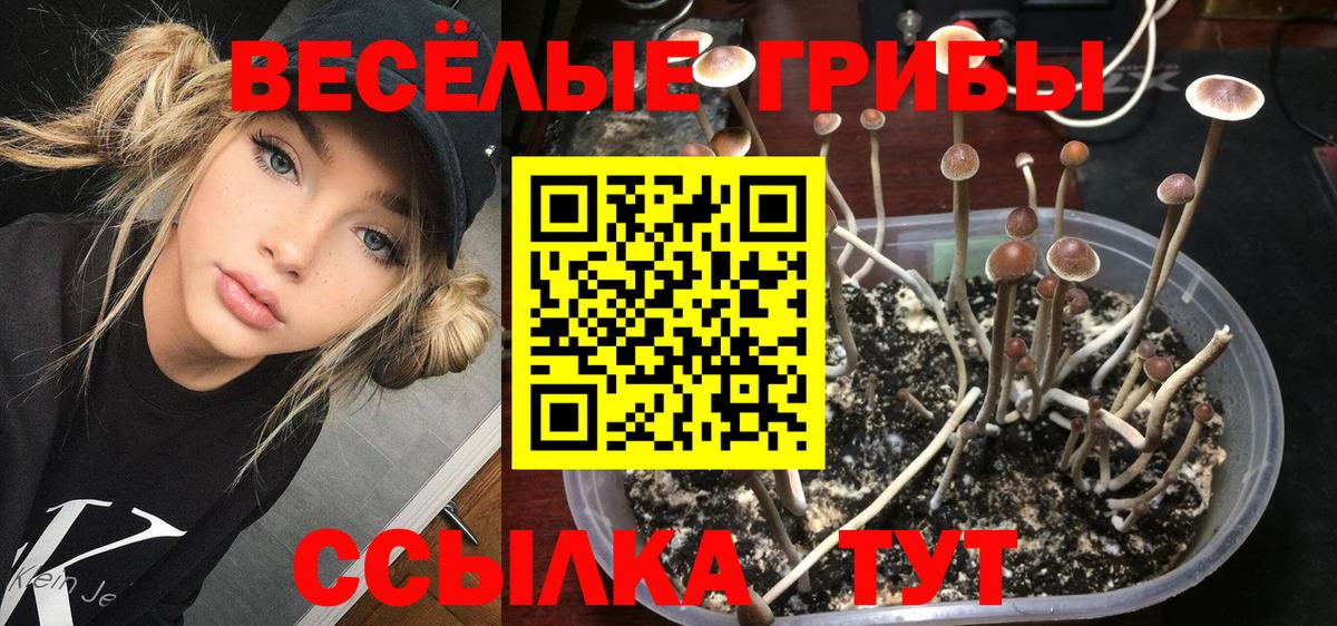 Луга  Псилоцибиновые грибы Cubensis  Вход с VPN  Галлюциногенные грибы Psilocybe 